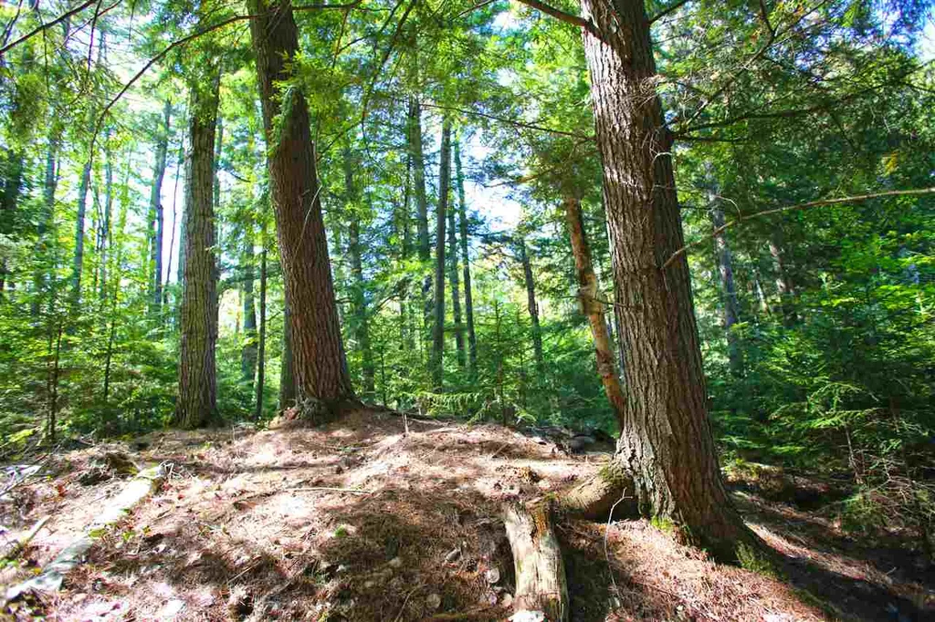 1991 Halls Lake Road Newbury VT 05051