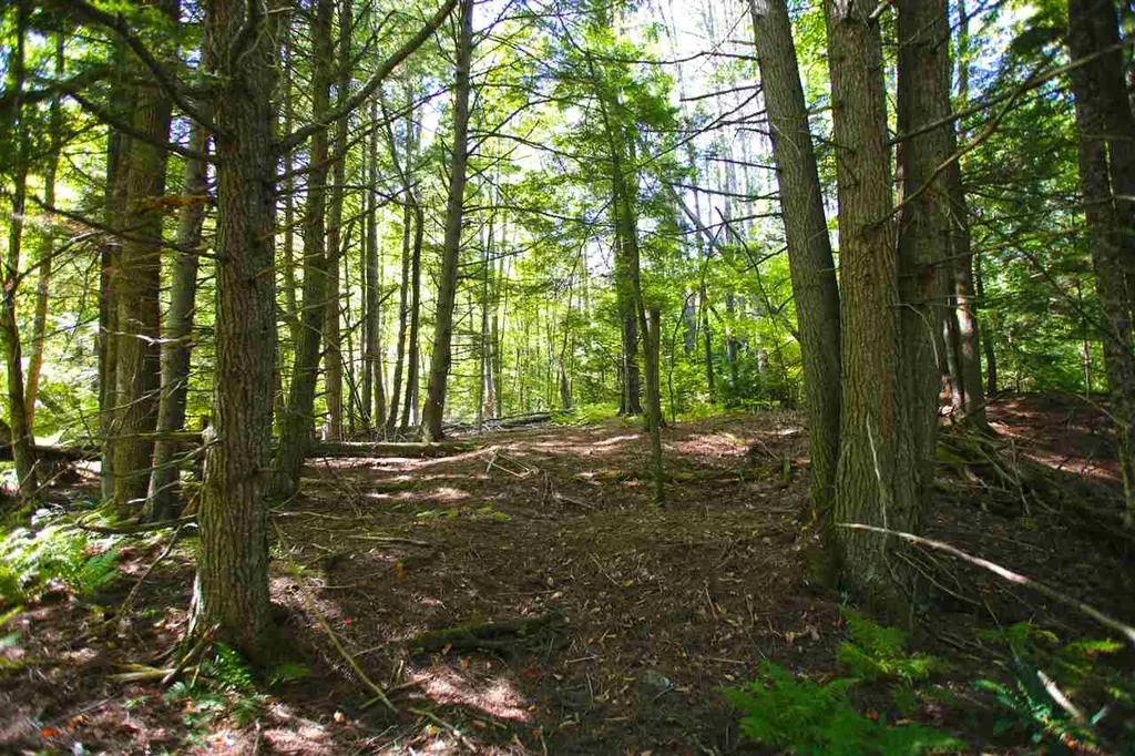 1991 Halls Lake Road Newbury VT 05051