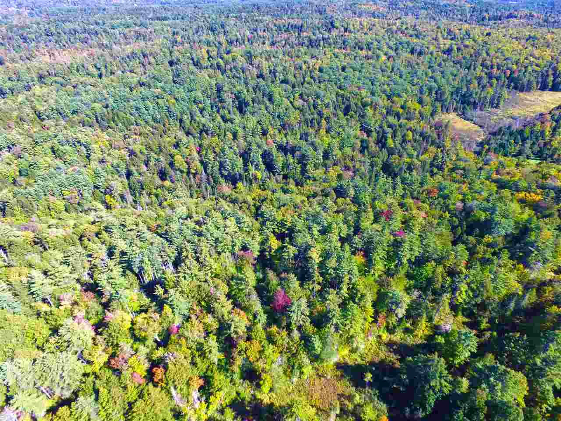 1991 Halls Lake Road Newbury VT 05051