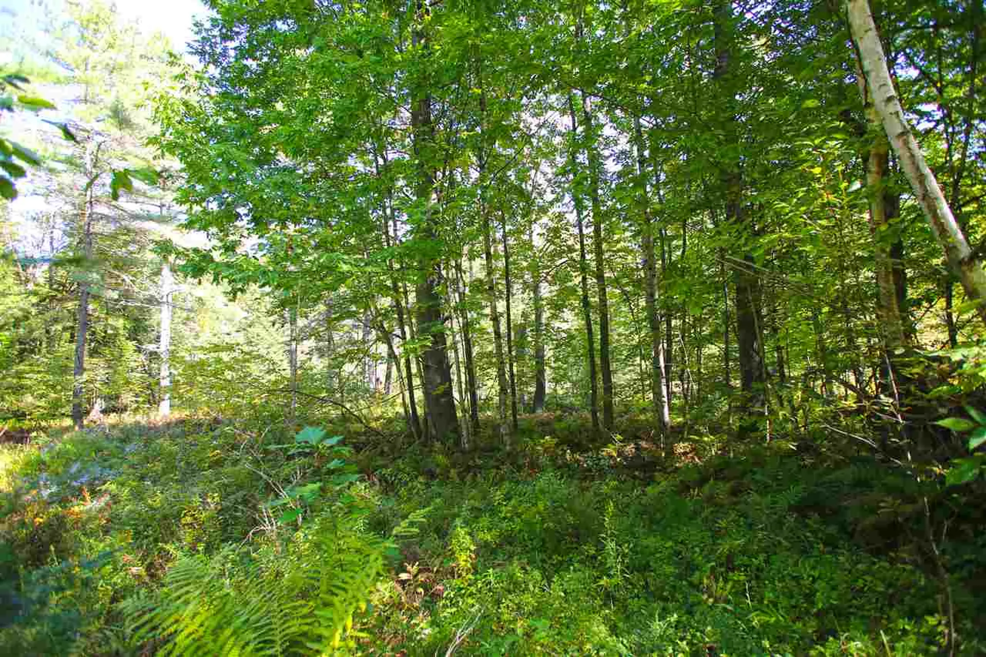 1991 Halls Lake Road Newbury VT 05051