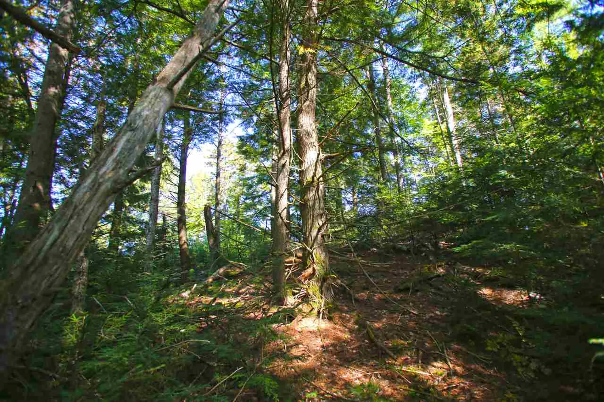 1991 Halls Lake Road Newbury VT 05051