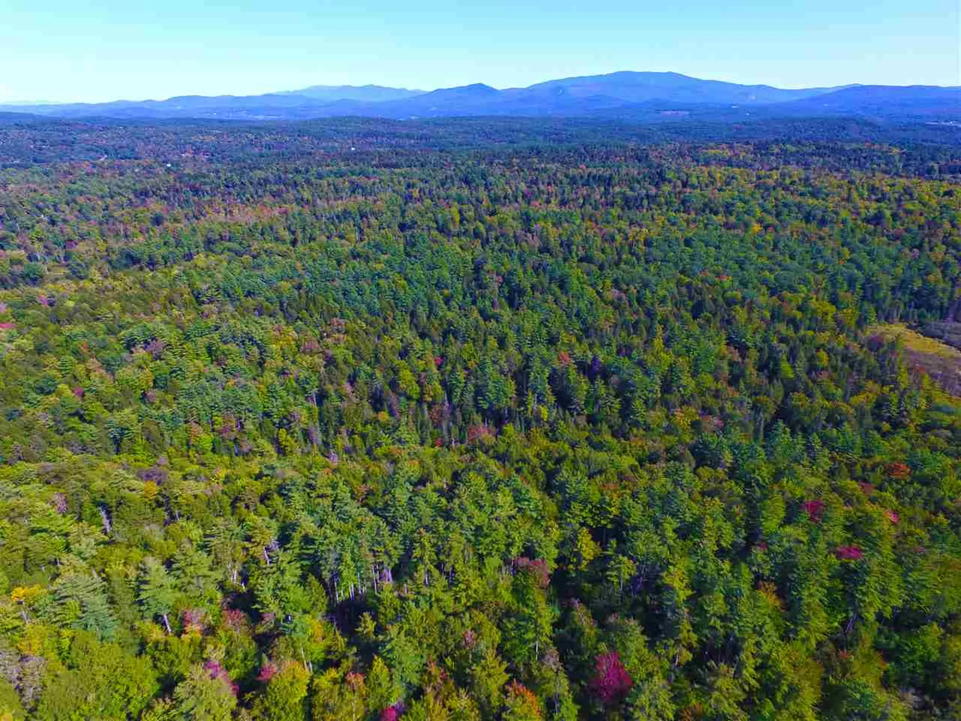 1991 Halls Lake Road Newbury VT 05051