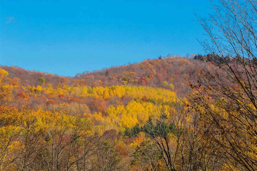 47 Orr Road Jericho VT 05465