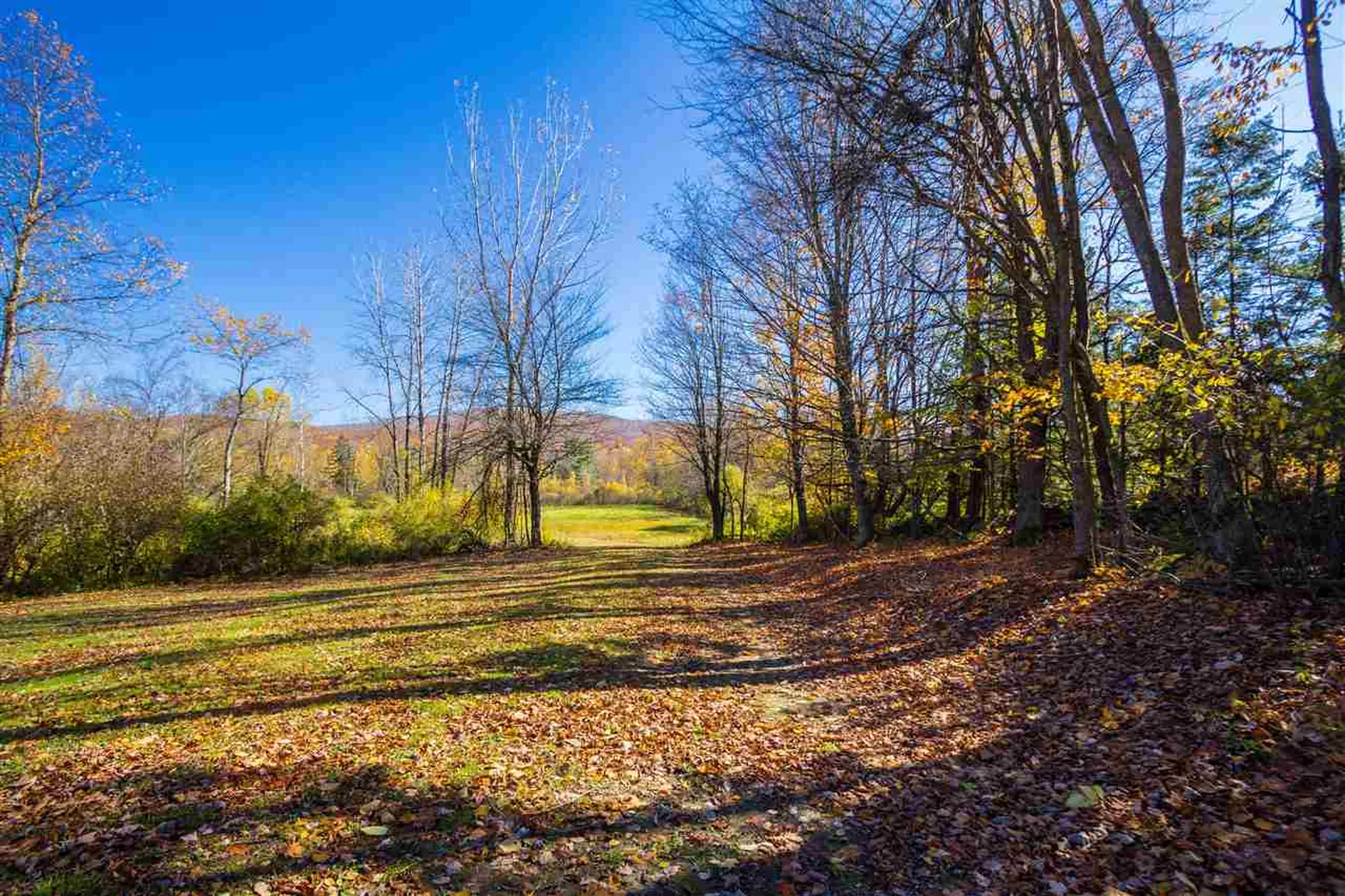 47 Orr Road Jericho VT 05465