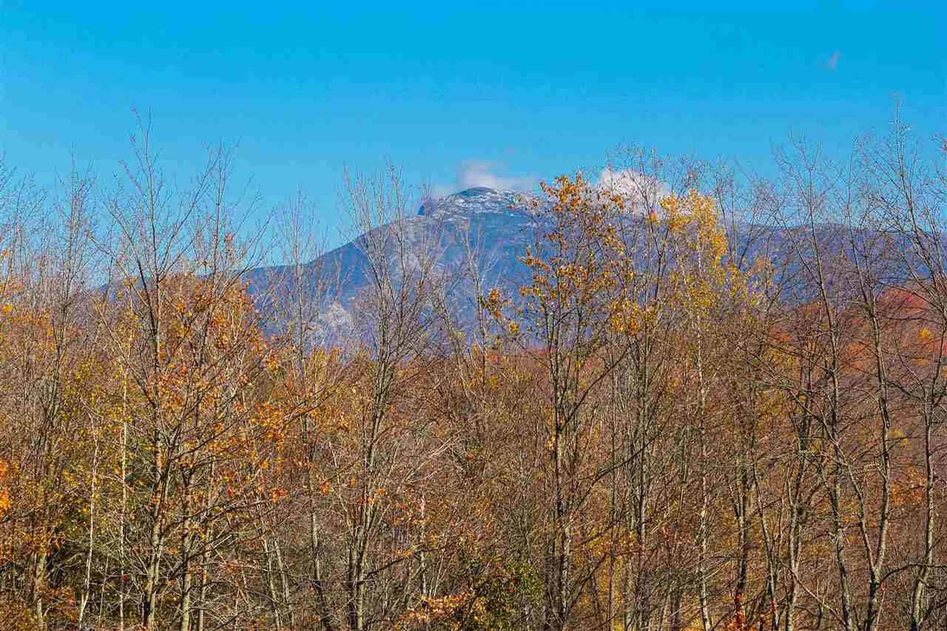47 Orr Road Jericho VT 05465