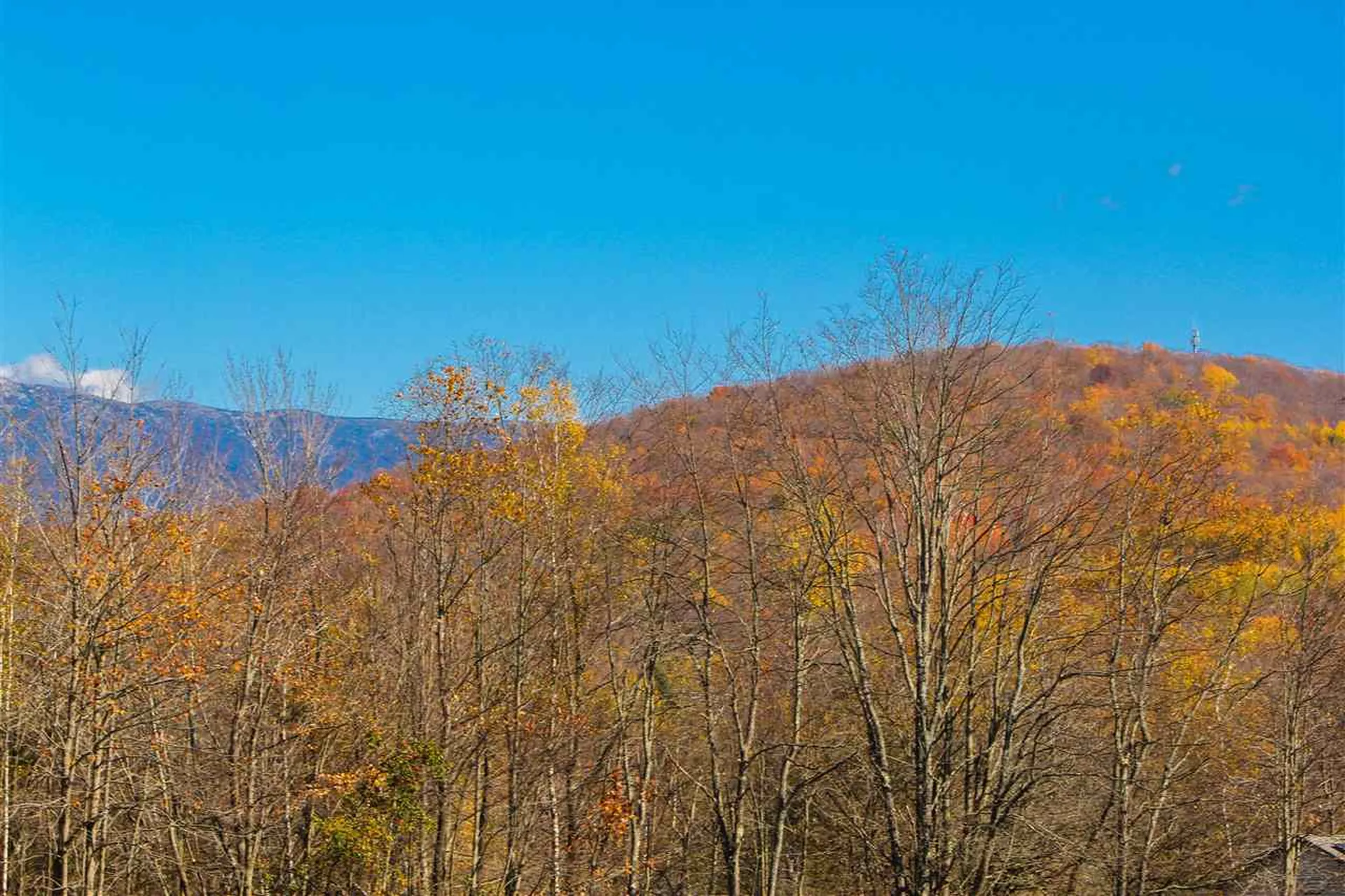 47 Orr Road Jericho VT 05465