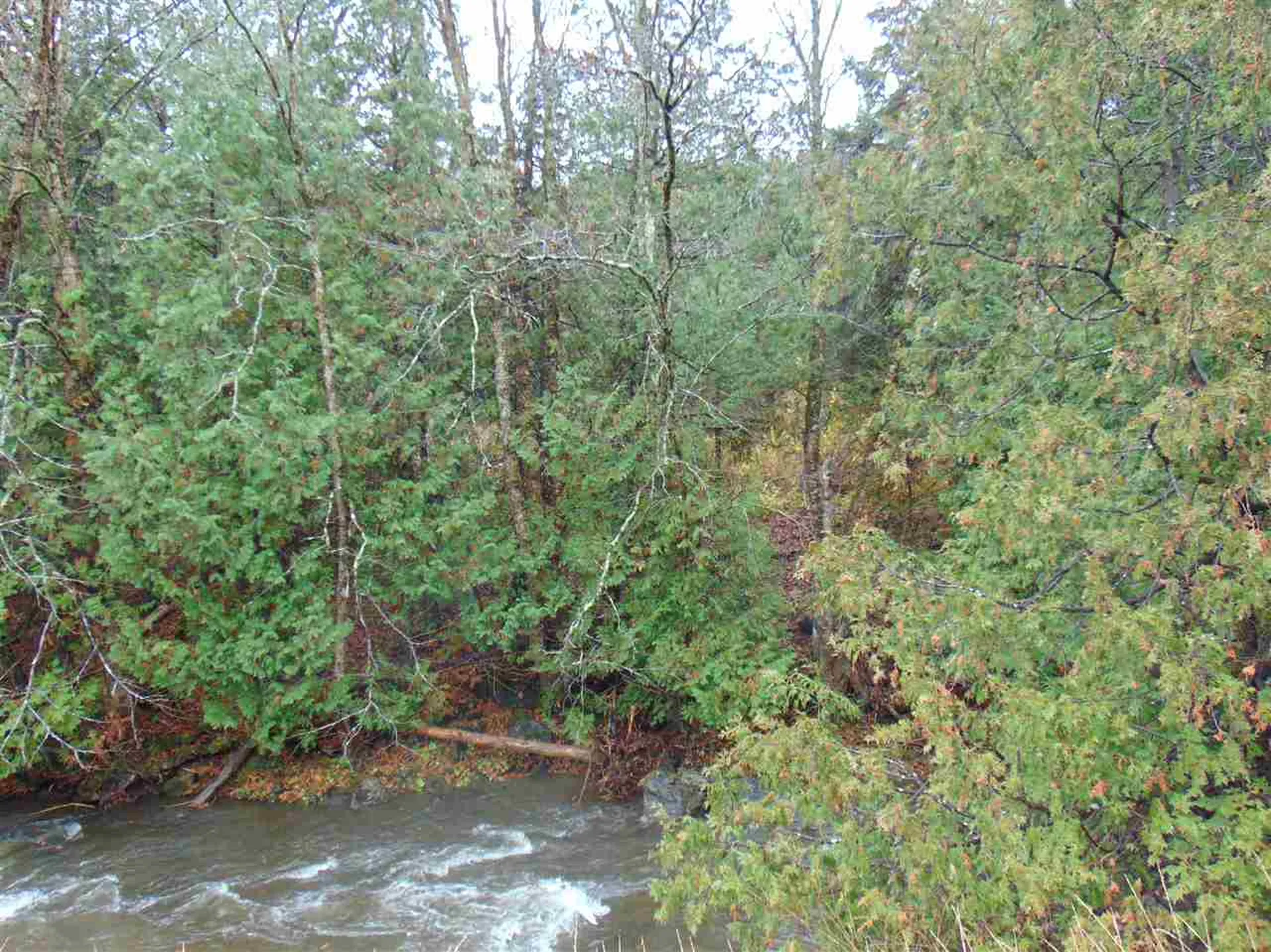 0 South Wheelock Road Lyndon VT 05851