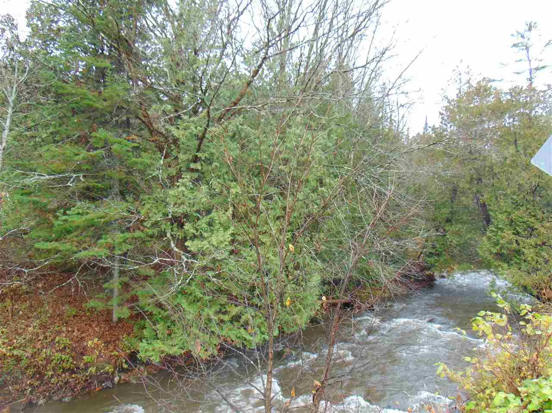 0 South Wheelock Road Lyndon VT 05851