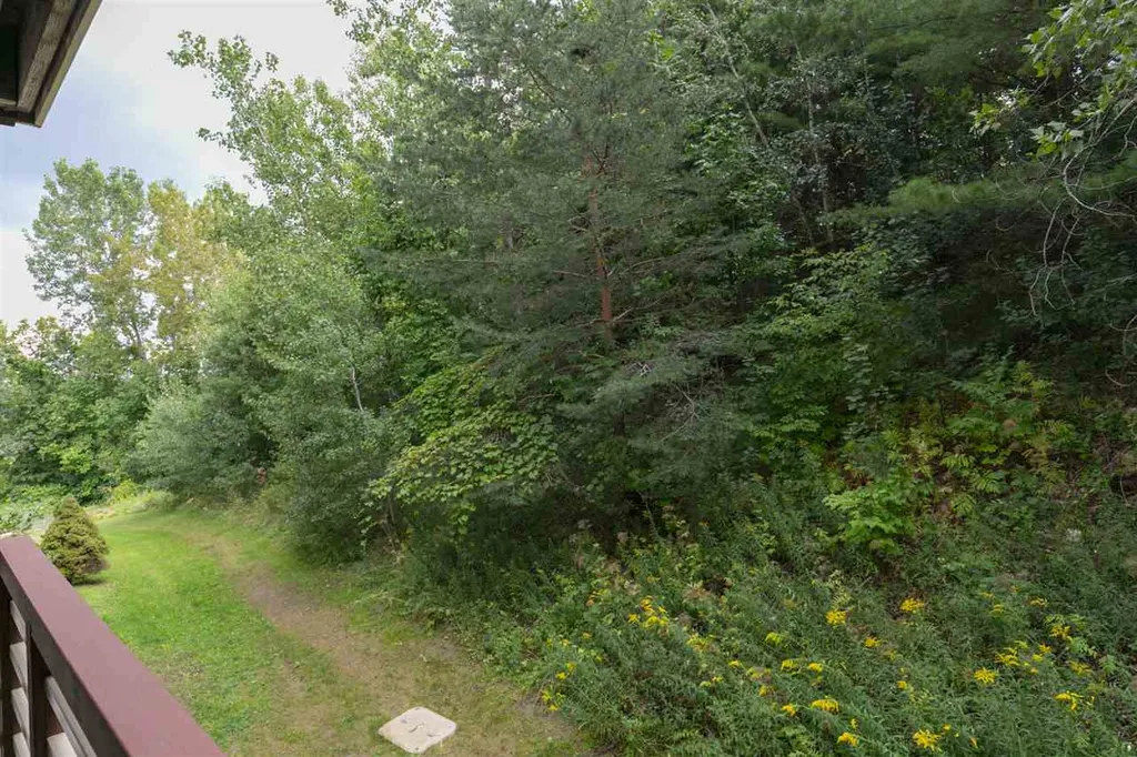 203 Hildred Drive Burlington VT 05401