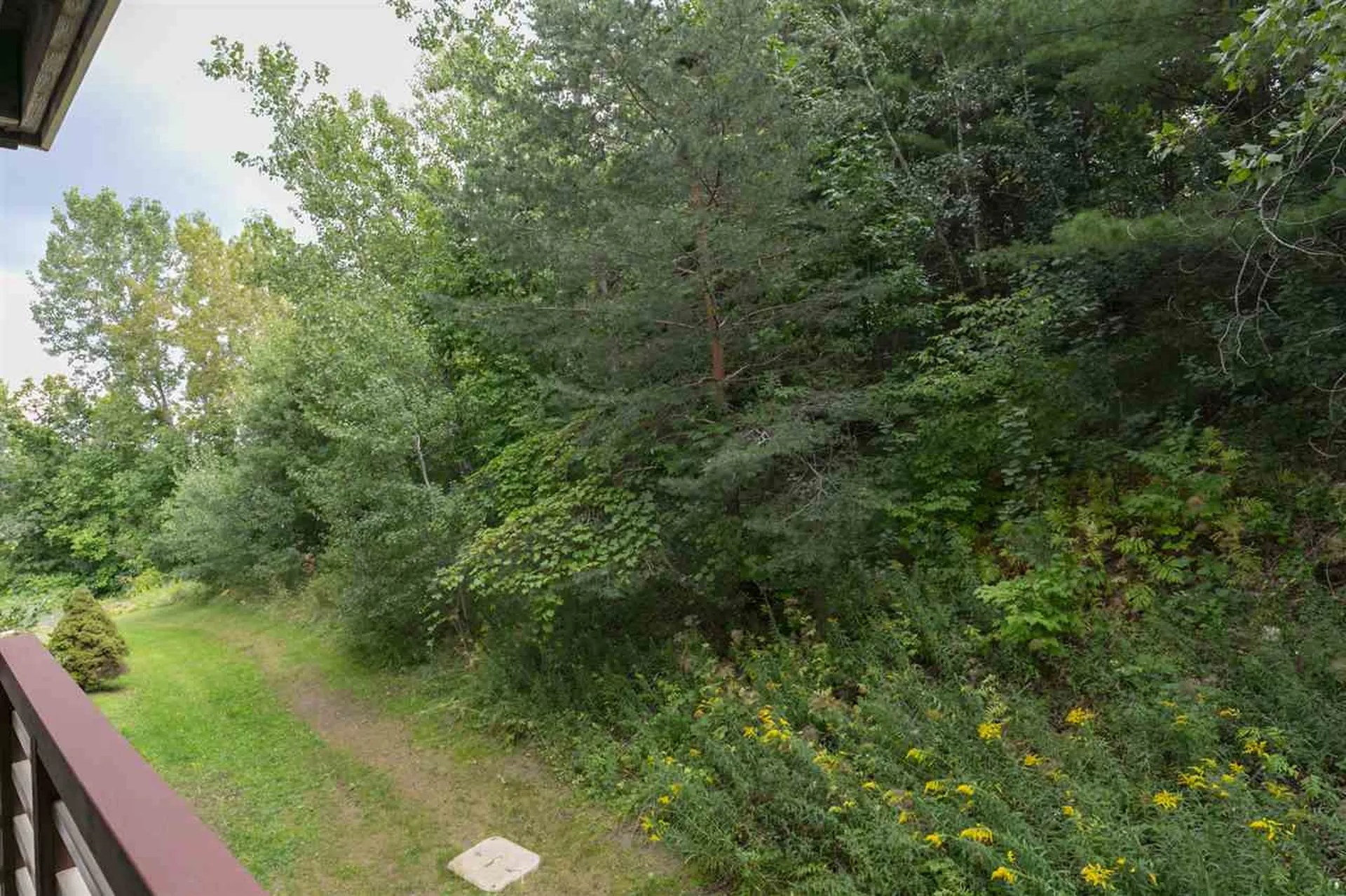 203 Hildred Drive Burlington VT 05401