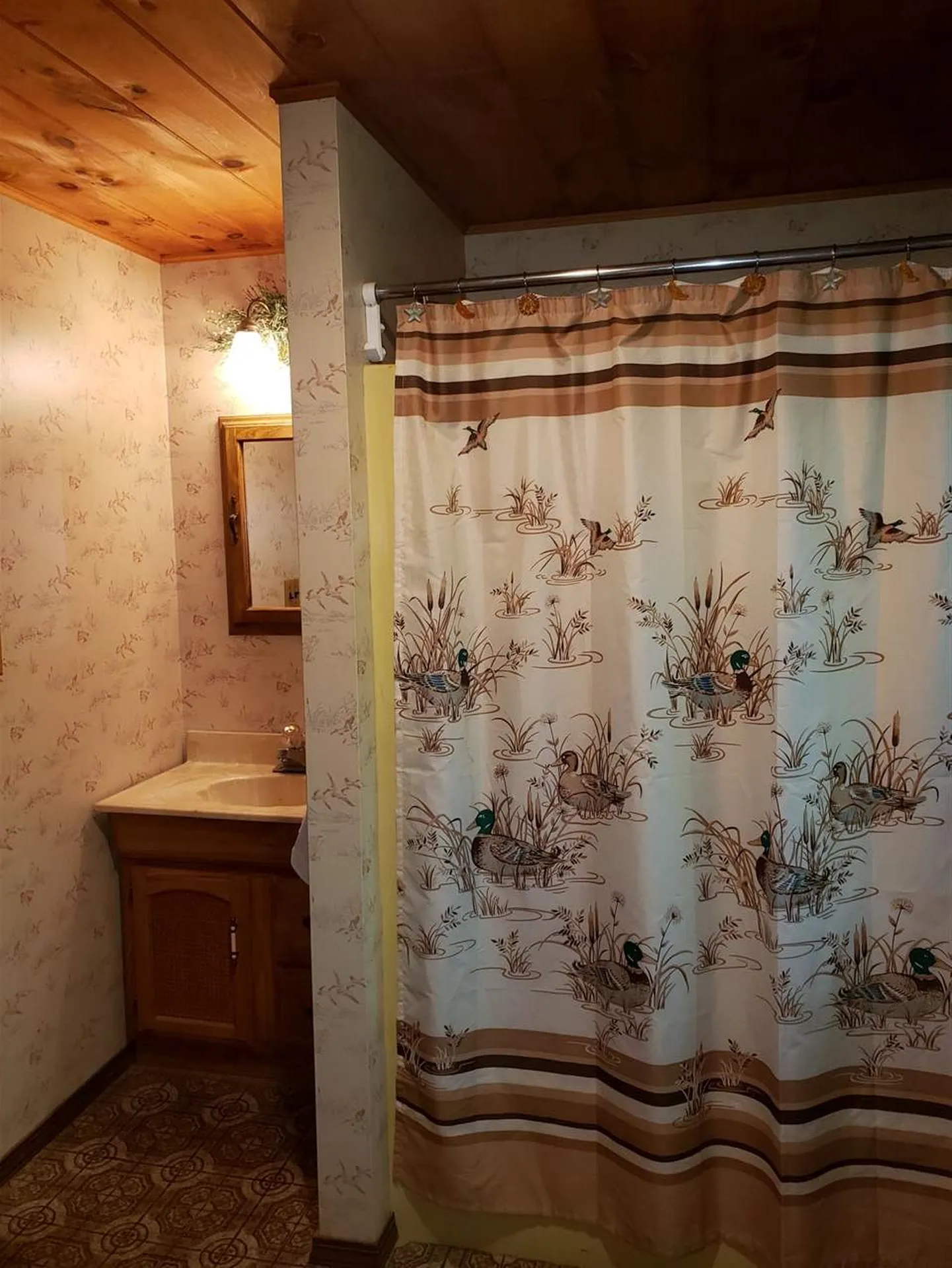22 Lake View Stoddard NH 03464