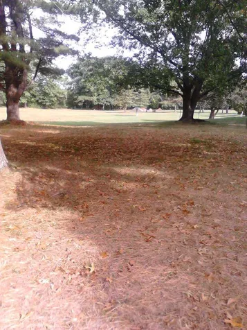 12 Hayes Park Exeter NH 03833