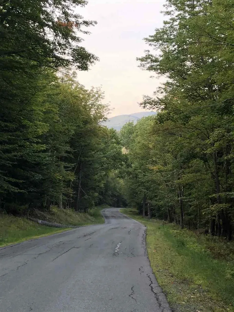 Lt 4 Branch Hill Road Readsboro VT 05050