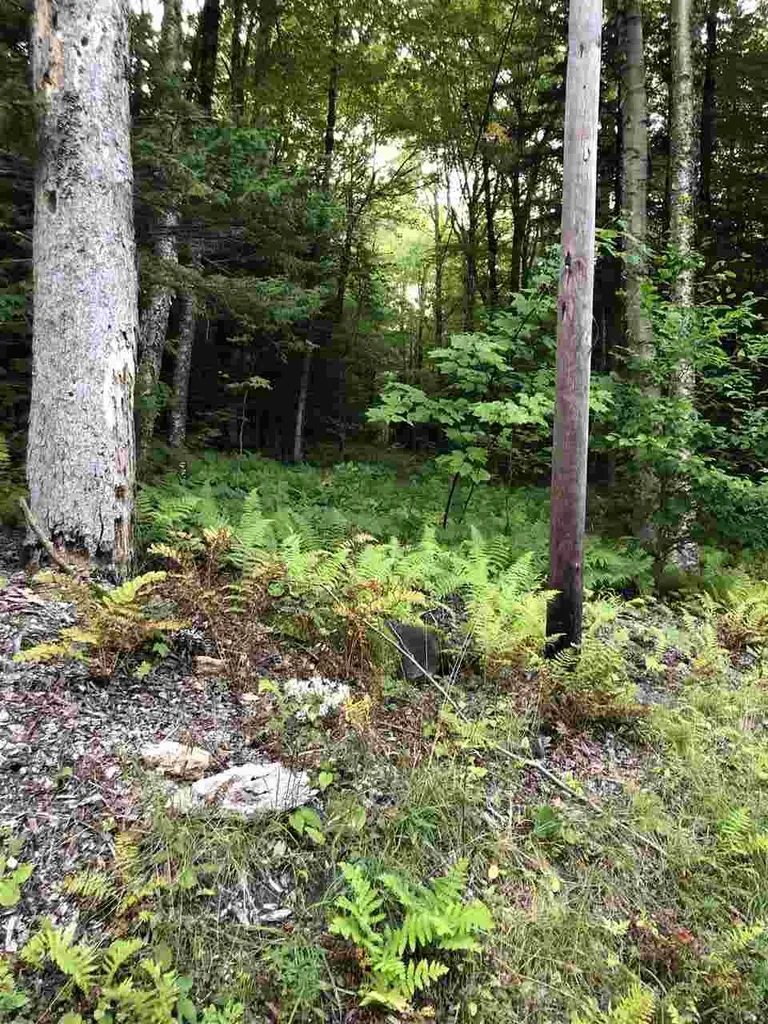 Lt 4 Branch Hill Road Readsboro VT 05050
