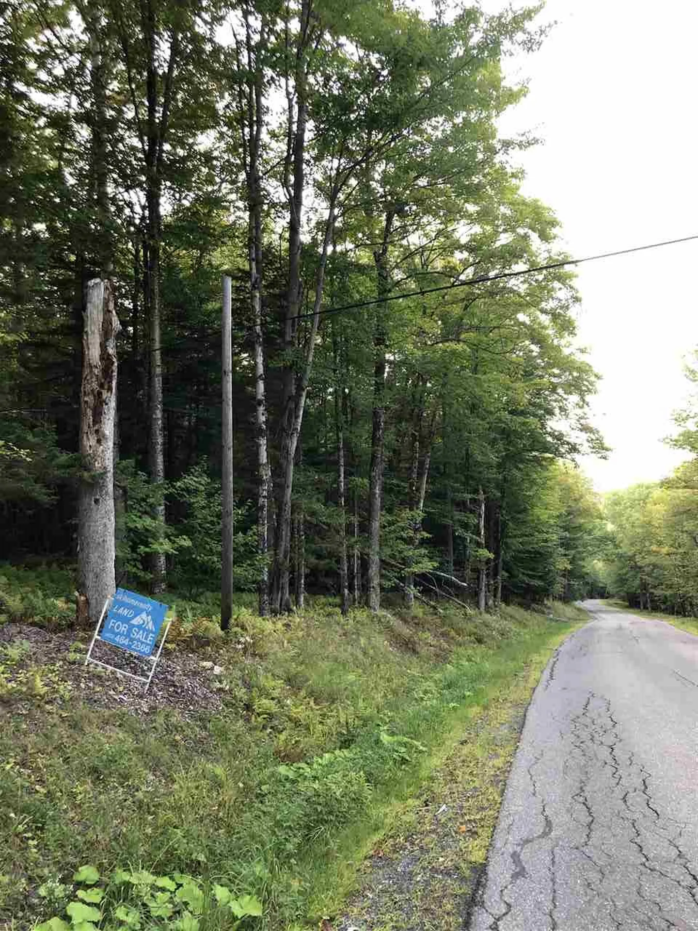 Lt 4 Branch Hill Road Readsboro VT 05050