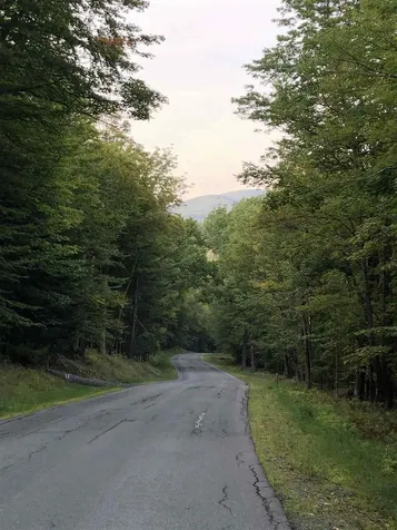 Lt 4 Branch Hill Road Readsboro VT 05050