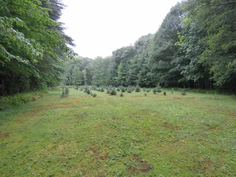 45 Abbott Lane Francestown NH 03043