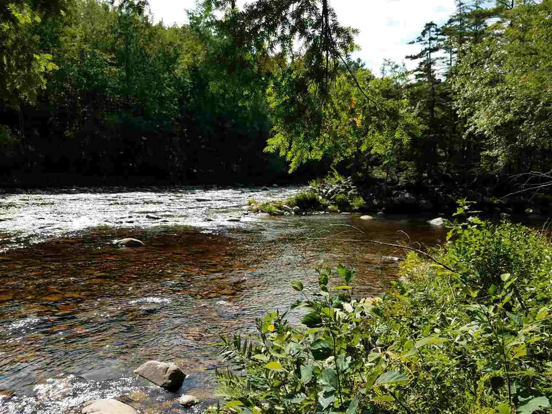 0 Passaconaway Road Albany NH 03818