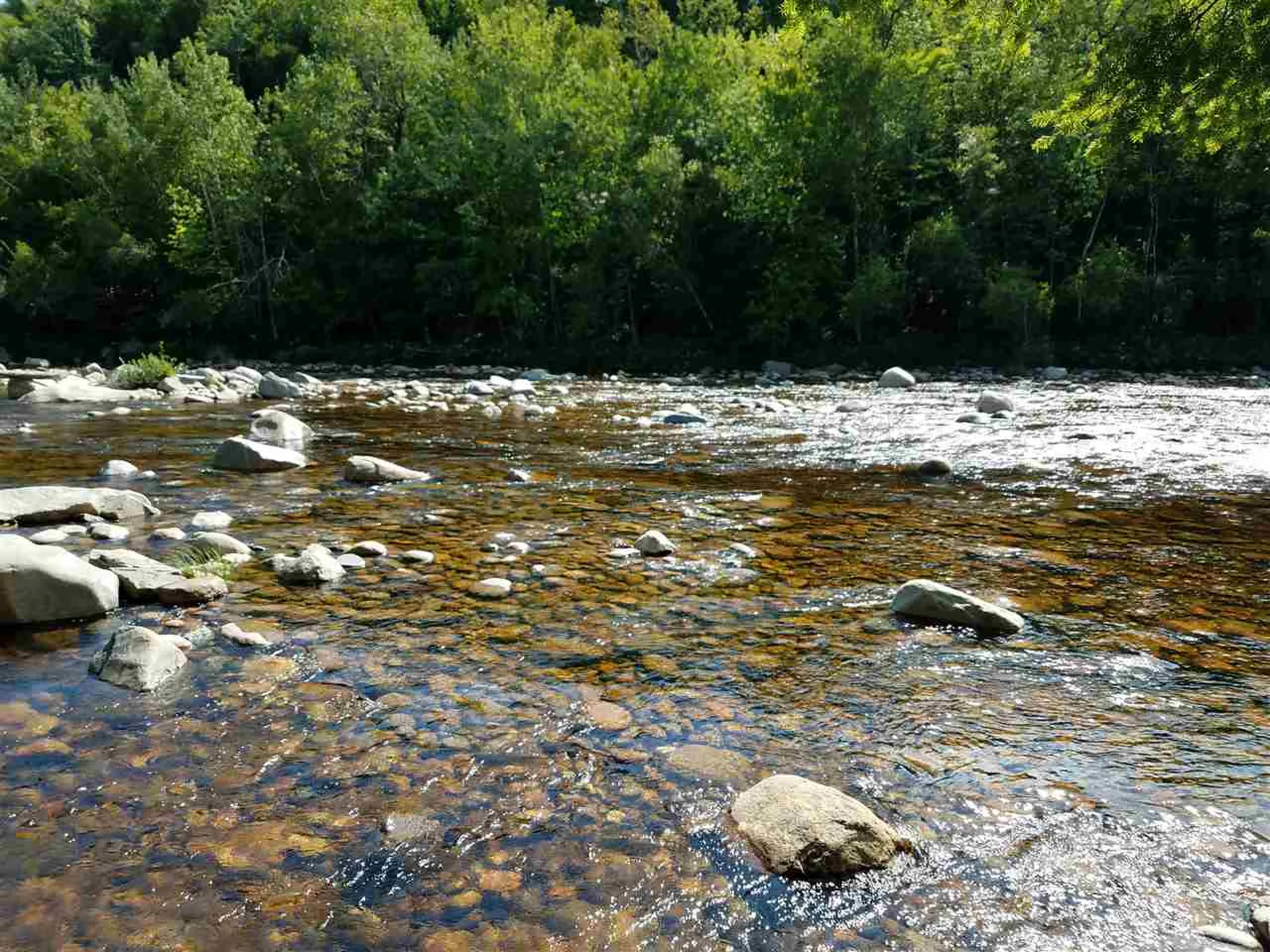0 Passaconaway Road Albany NH 03818