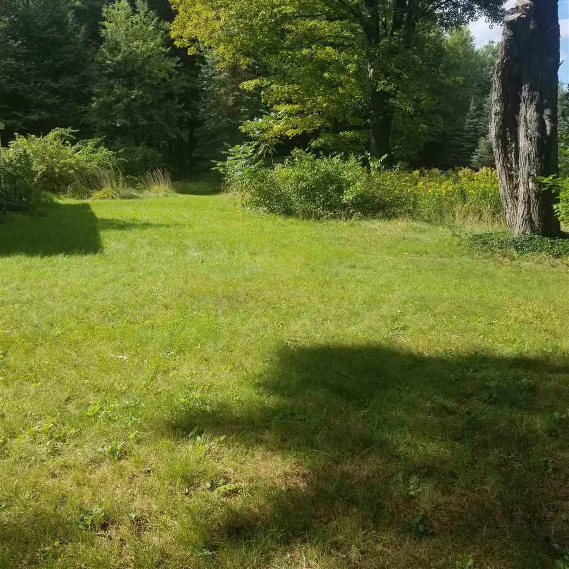 36 Woodard Avenue Winchester NH 03470