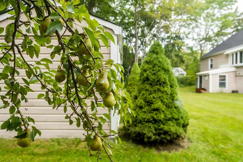 3 Sagamore Road Rye NH 03870