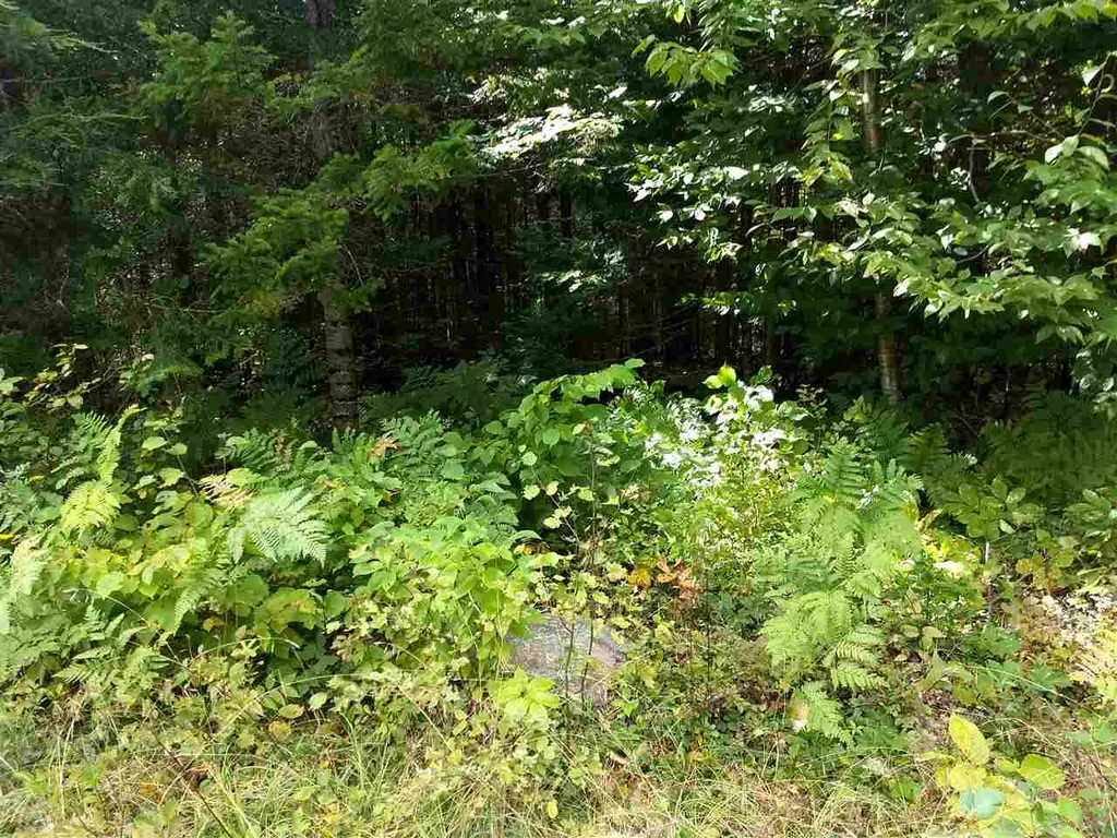 0 Maillet Road Lunenburg VT 05906