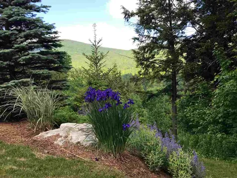 254 Town Farm Road Ludlow VT 05149
