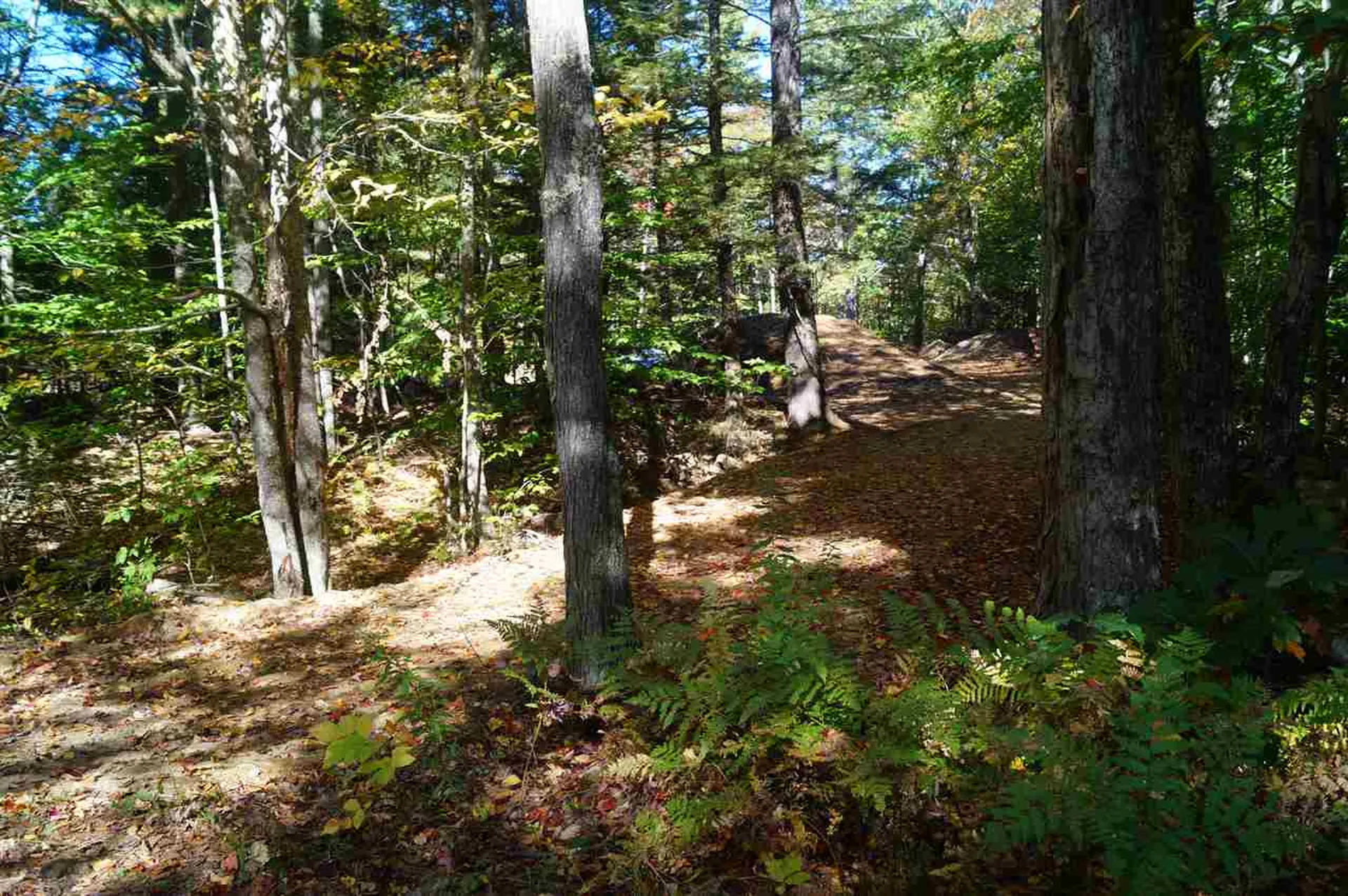 26 Sawyer Road Weare NH 03281