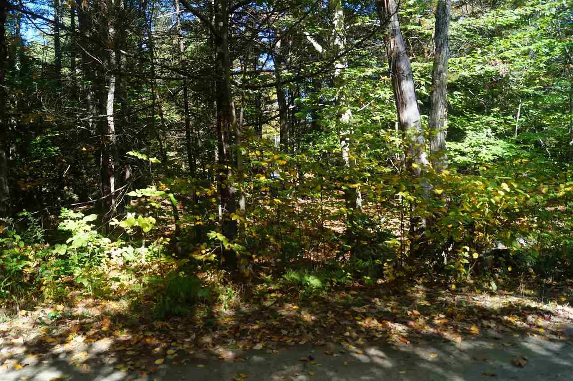 26 Sawyer Road Weare NH 03281
