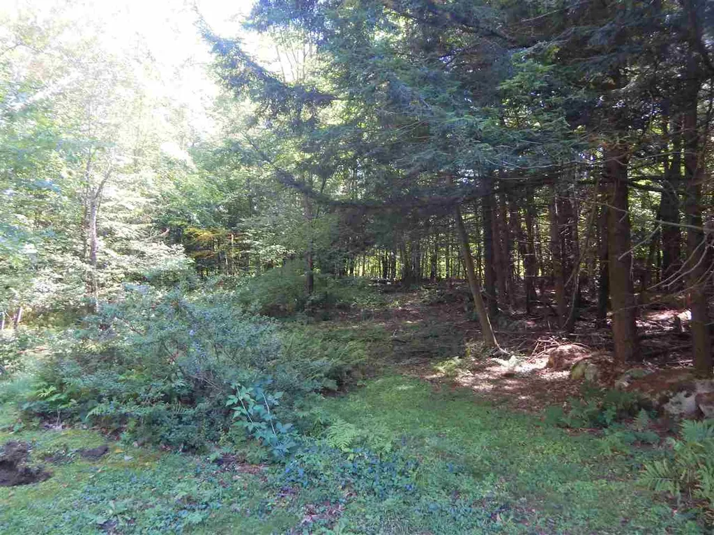 761 Back Mountain Road Windsor VT 05089