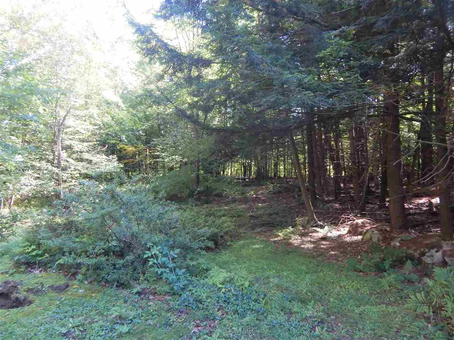 761 Back Mountain Road Windsor VT 05089