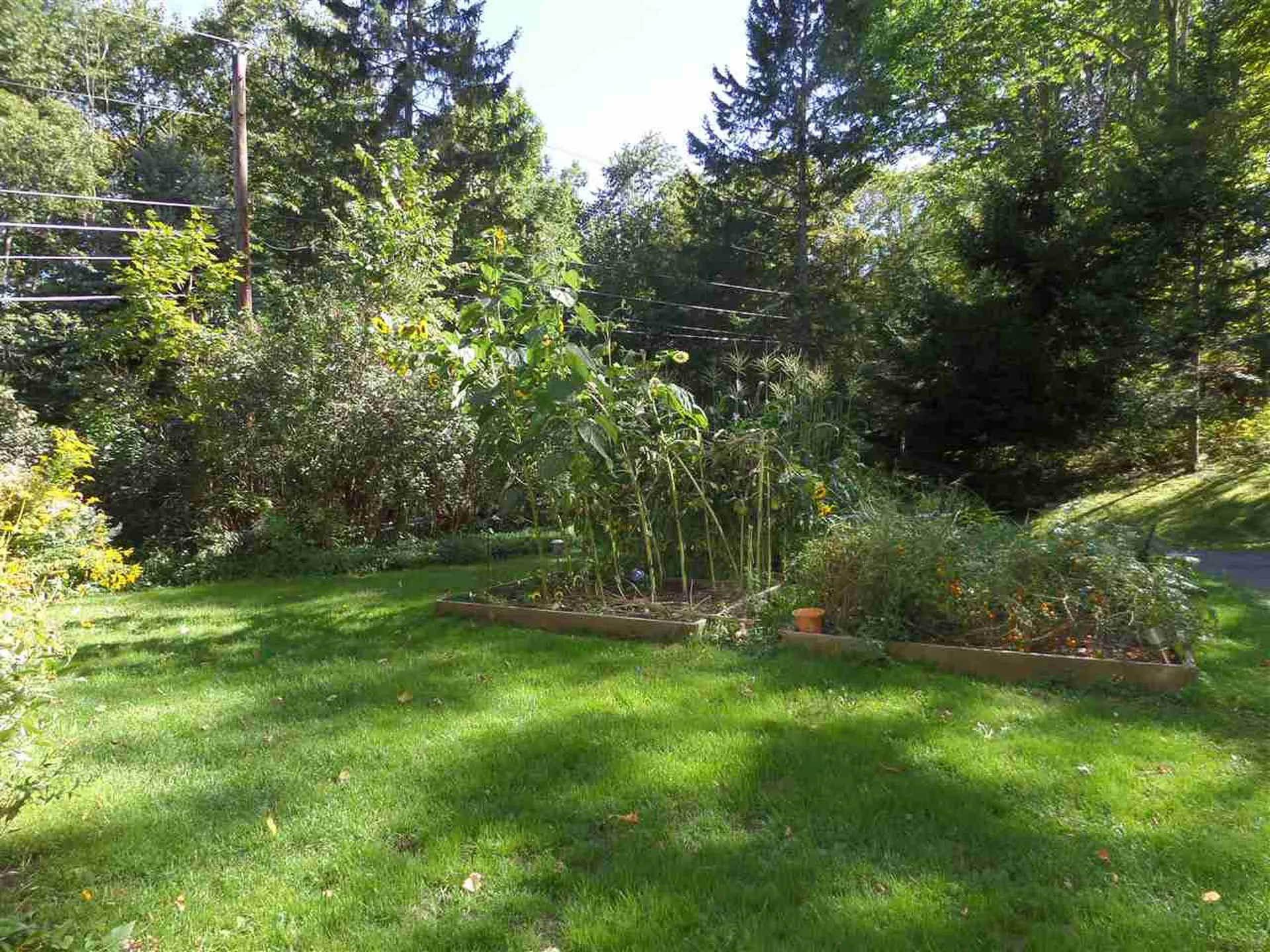 287 Hill Street Montpelier VT 05602
