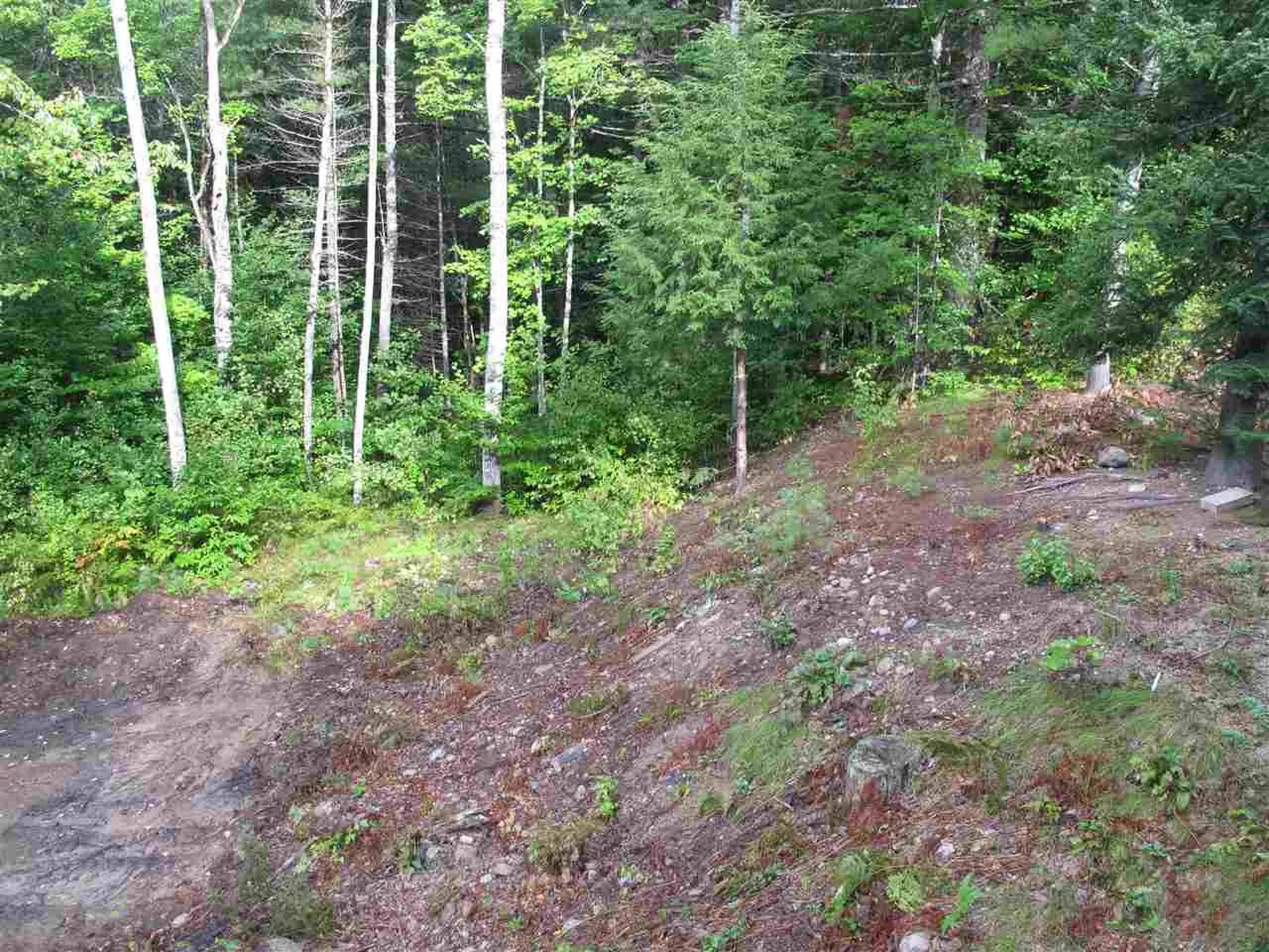 498 Depot Road Tamworth NH 03886