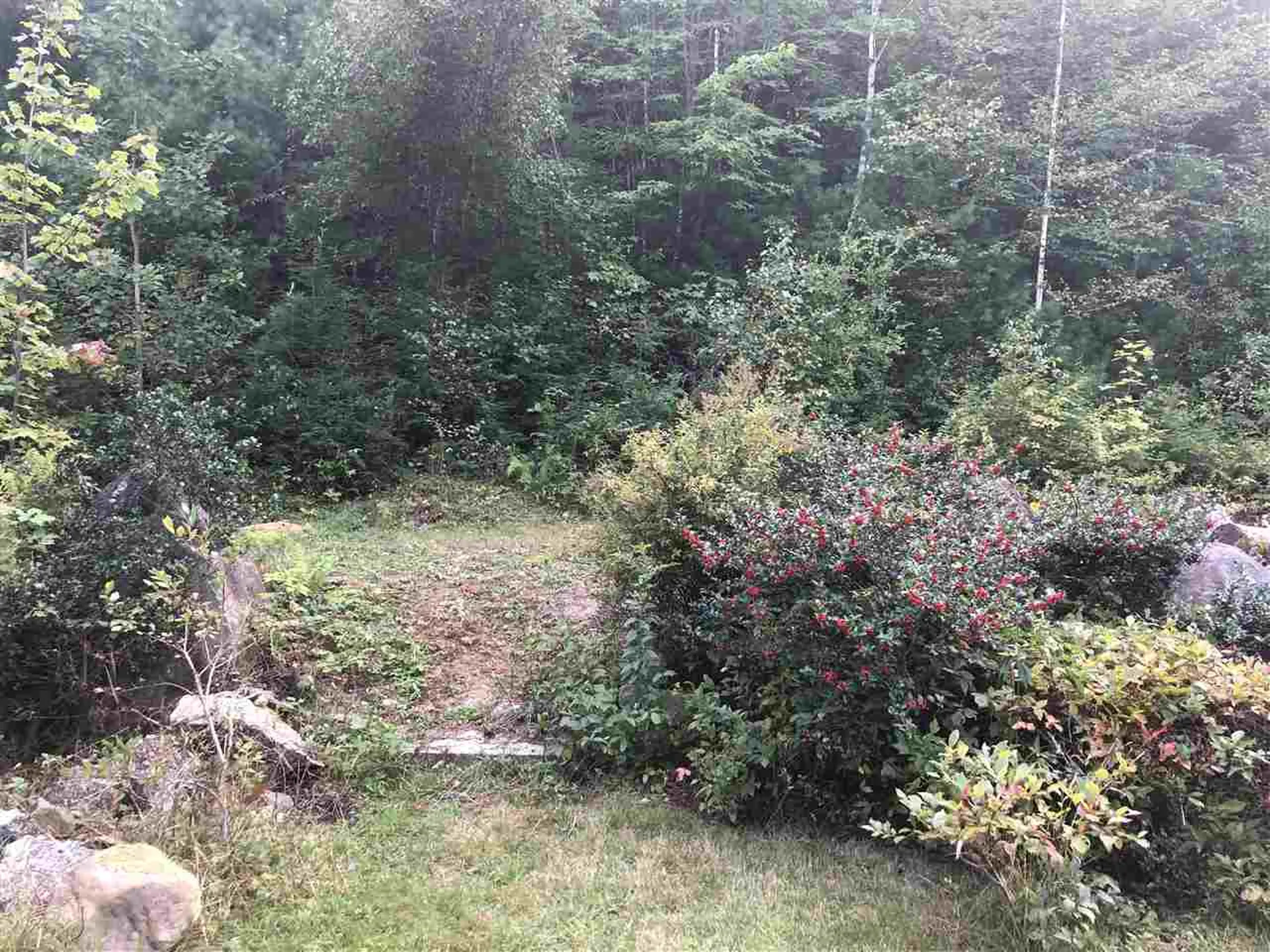 800 Cass Mill Road Alexandria NH 03222
