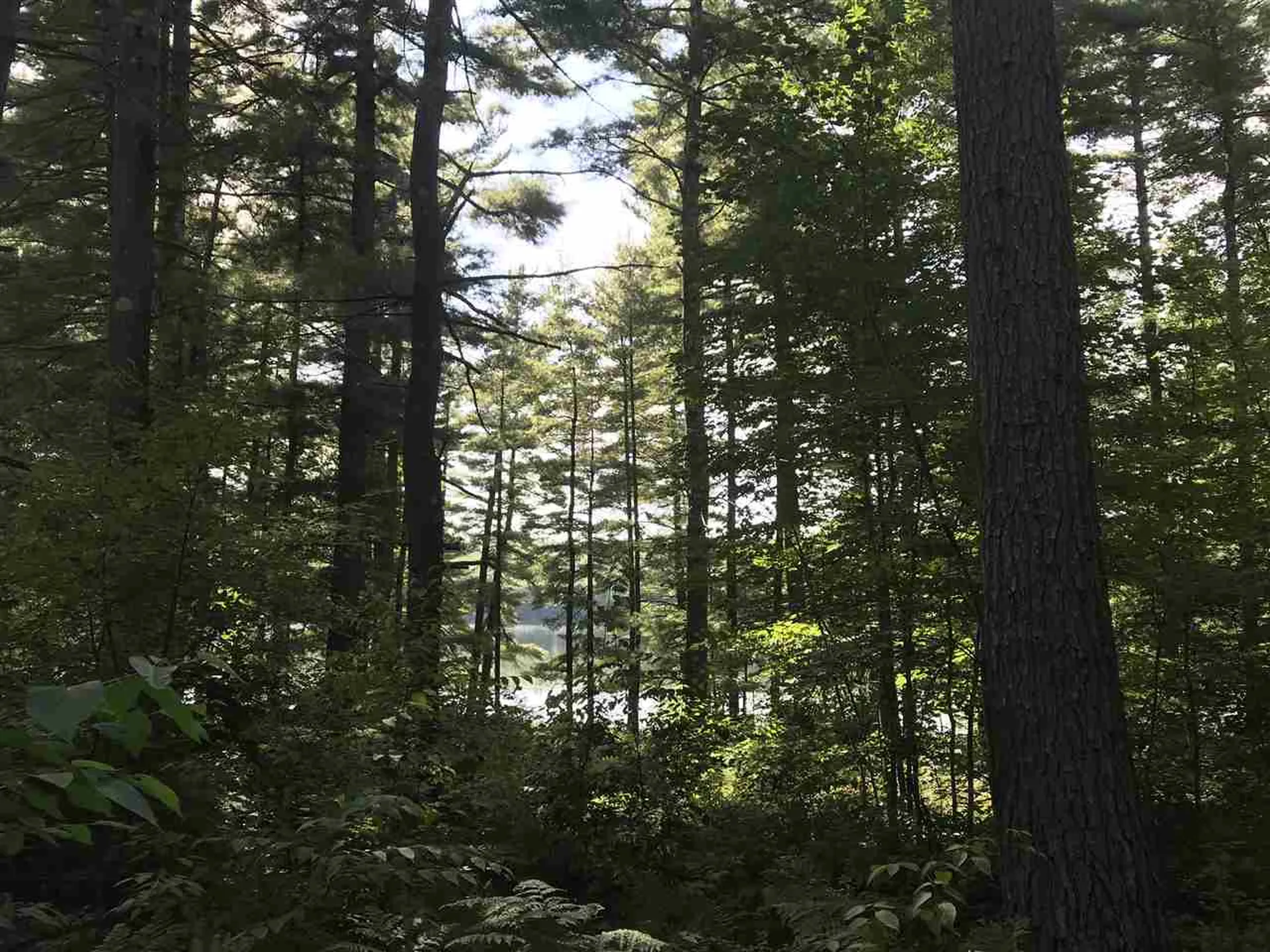 239 Hayden Road Hollis NH 03049
