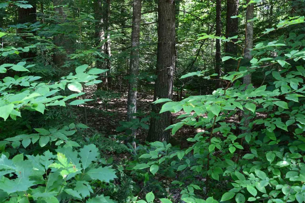 Simonds Road Haverhill NH 03765