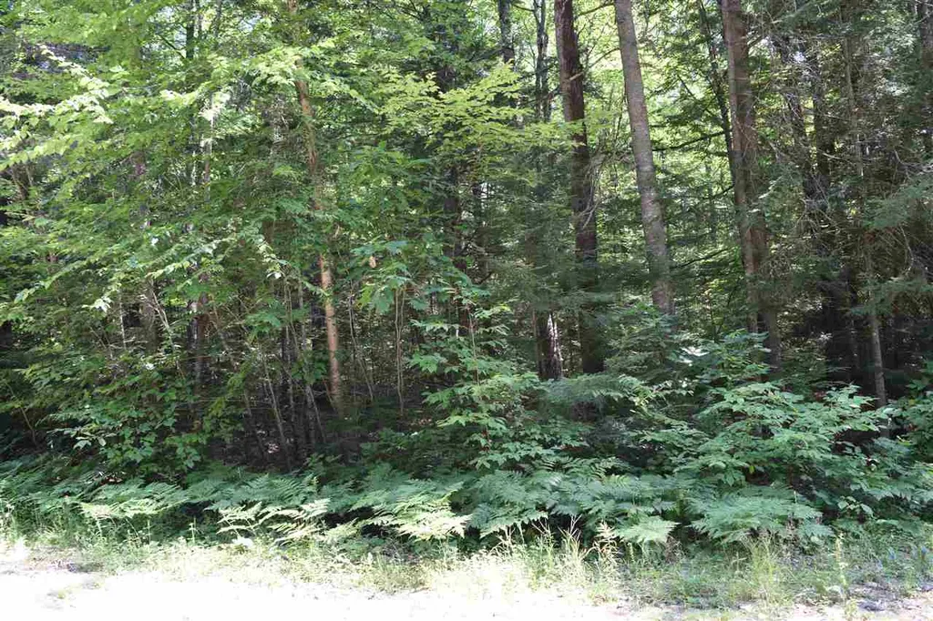 Simonds Road Haverhill NH 03765