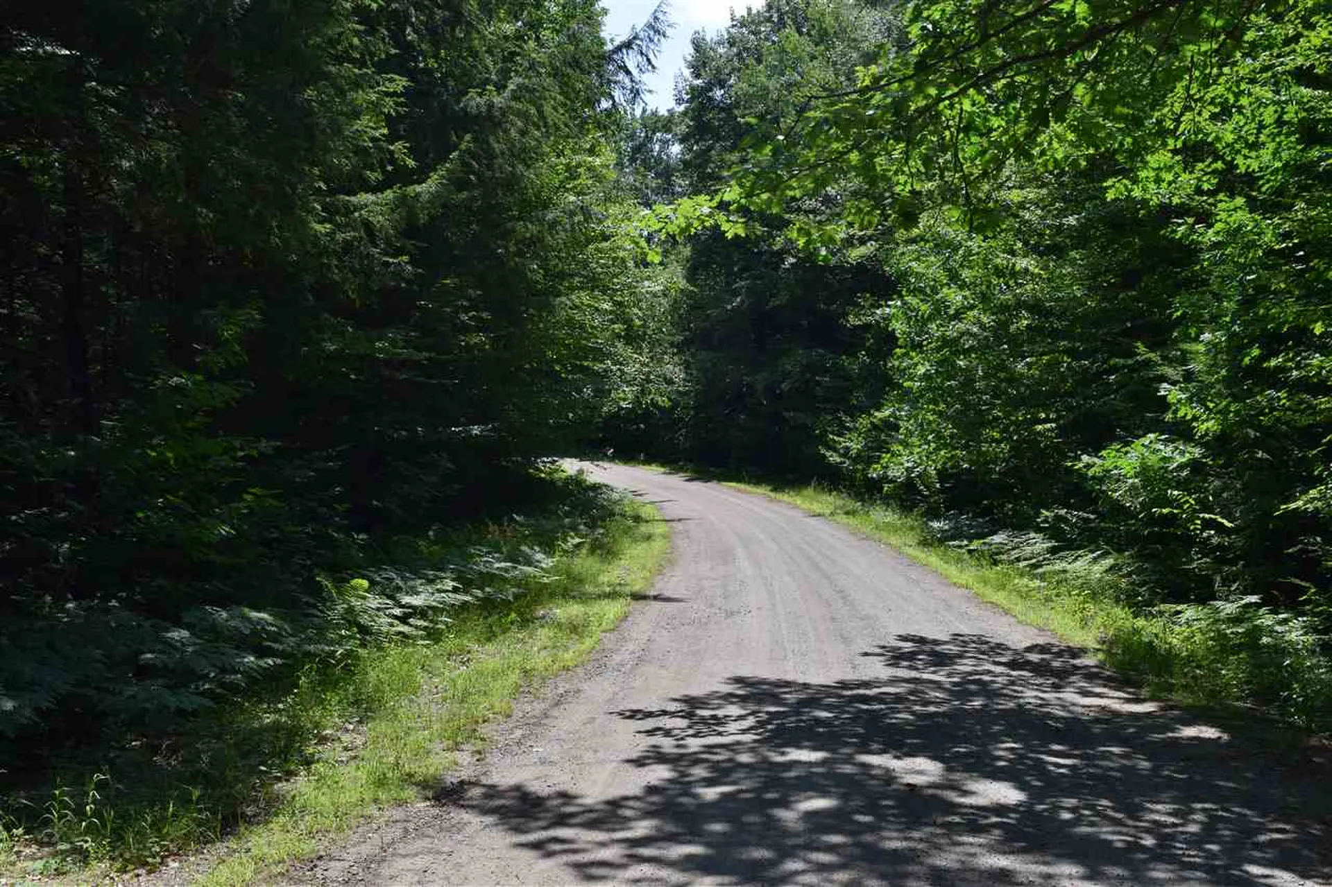 Simonds Road Haverhill NH 03765