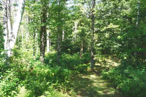 140 Powerhouse Road Chittenden VT 05737