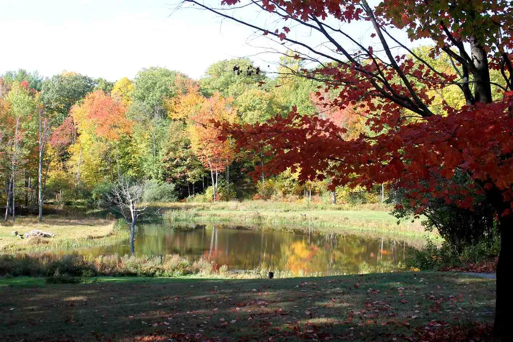 71 Tucker Mill Road New Boston NH 03070