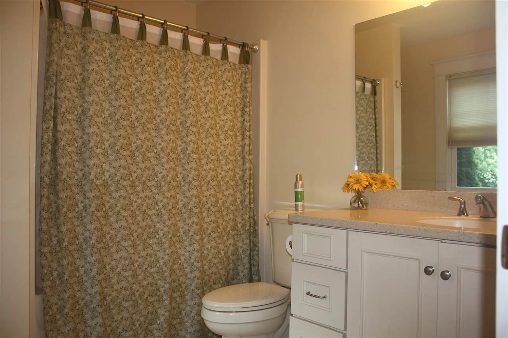 275 Shore No Drive Bridgewater NH 03222