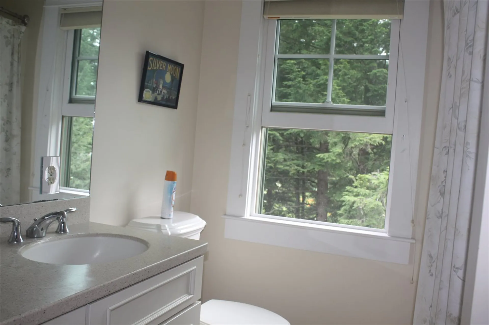 275 Shore No Drive Bridgewater NH 03222
