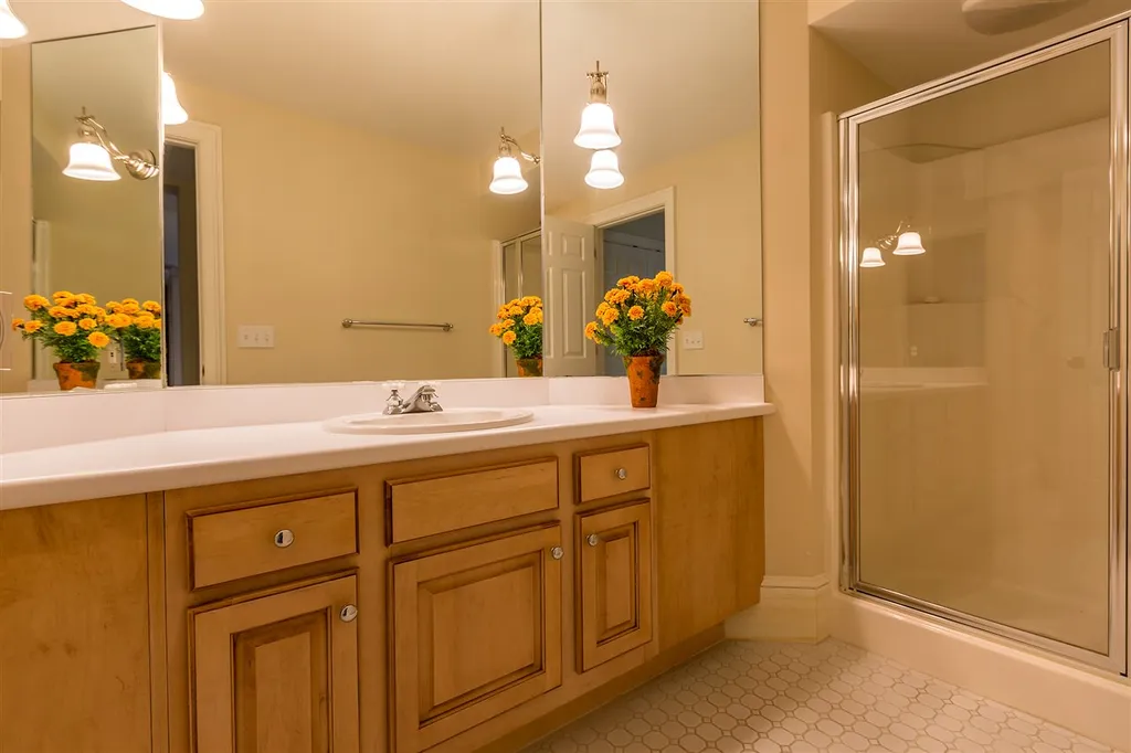 245 Edward Isham Drive Manchester VT 05255