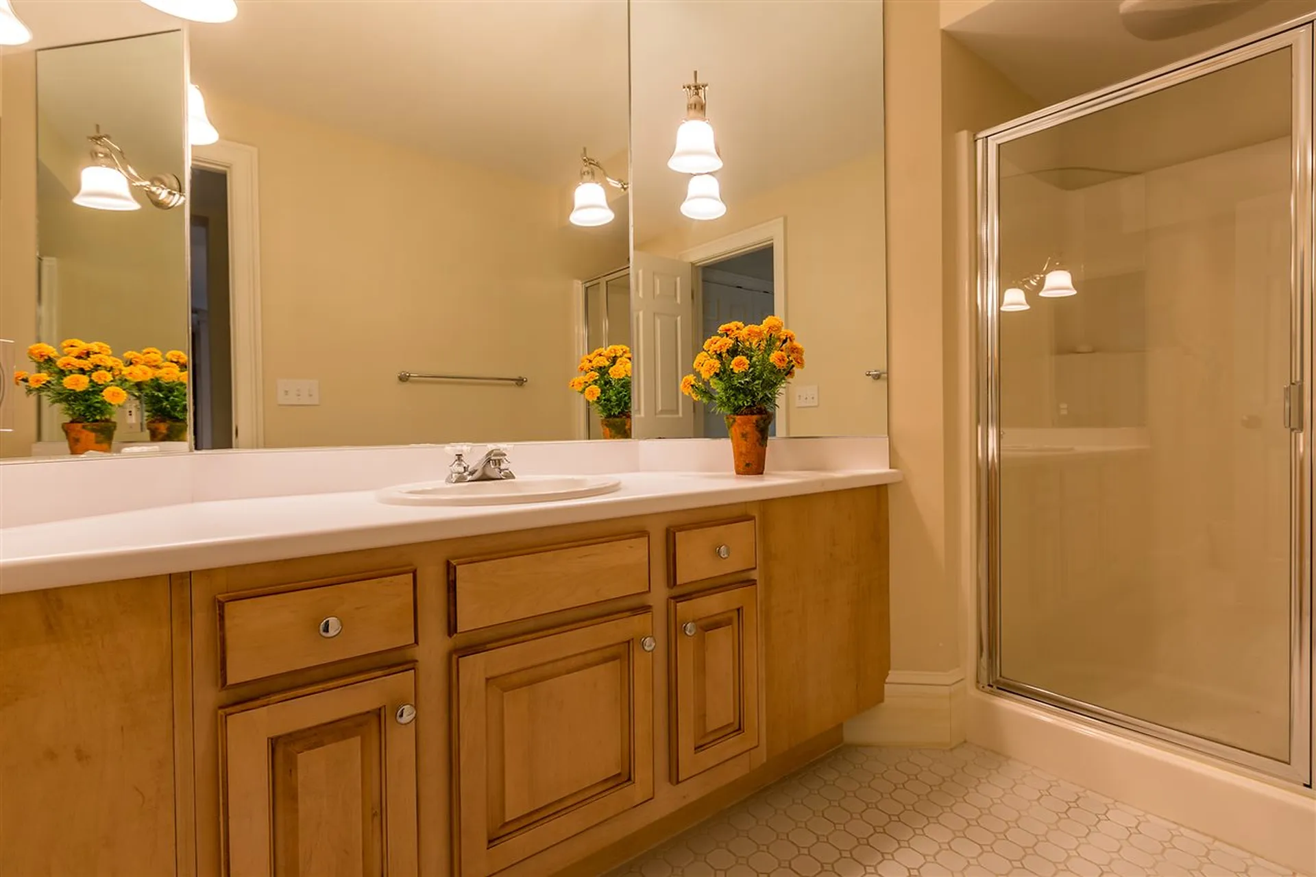 245 Edward Isham Drive Manchester VT 05255