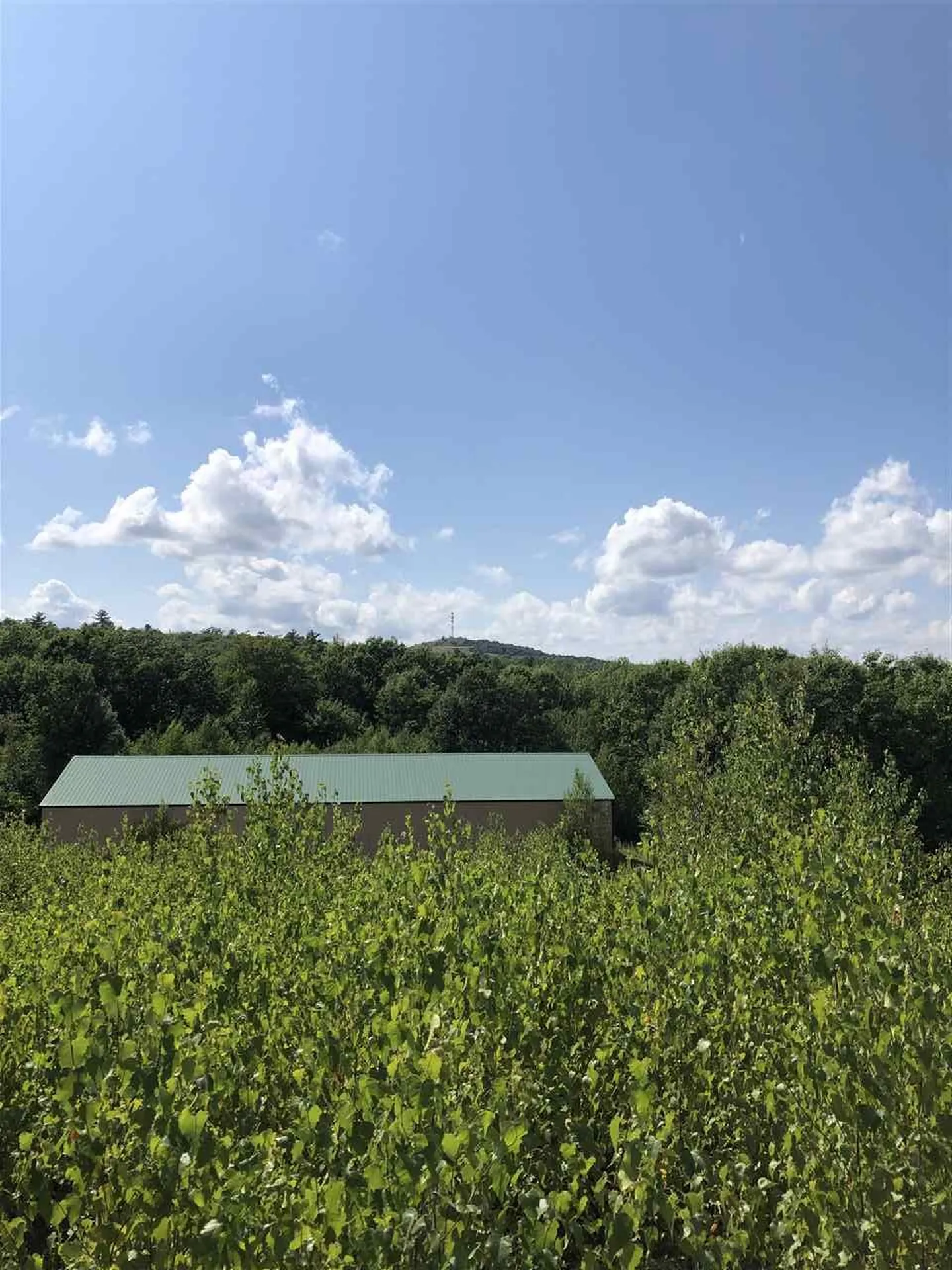641 Prospect Mountain Road Alton NH 03809