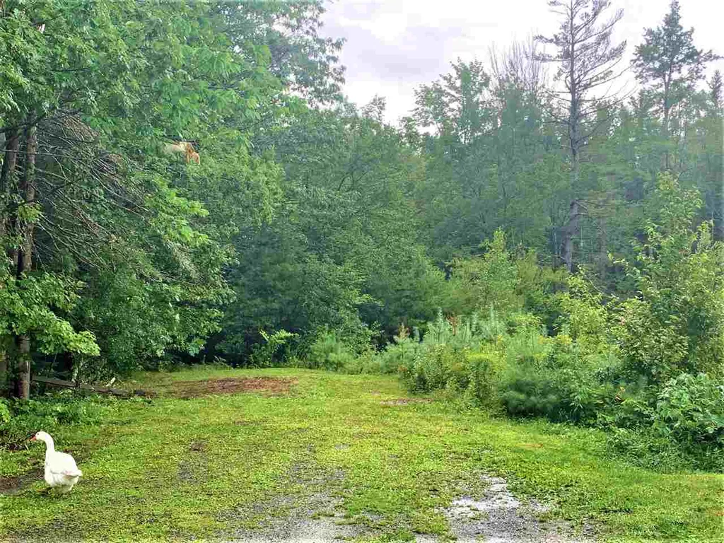 251 Baker Hill Road Newbury NH 03255