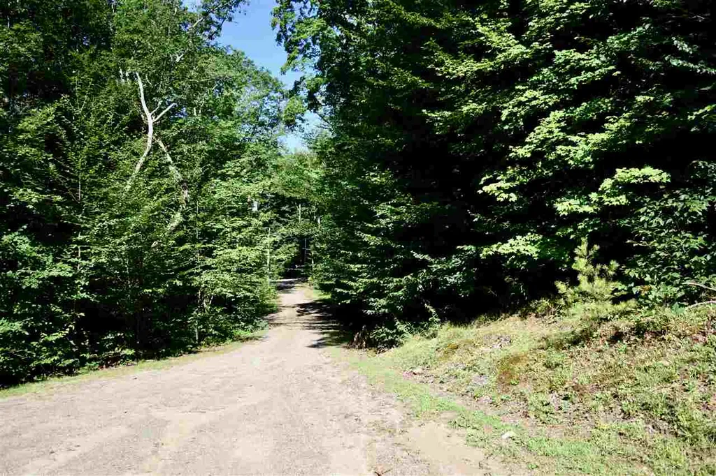 88 Aten Road Nelson NH 03457