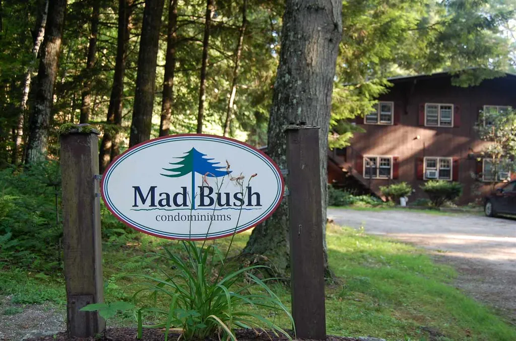 203 Madbush Waitsfield VT 05673