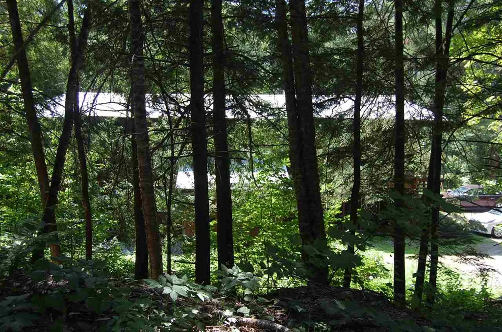 203 Madbush Waitsfield VT 05673