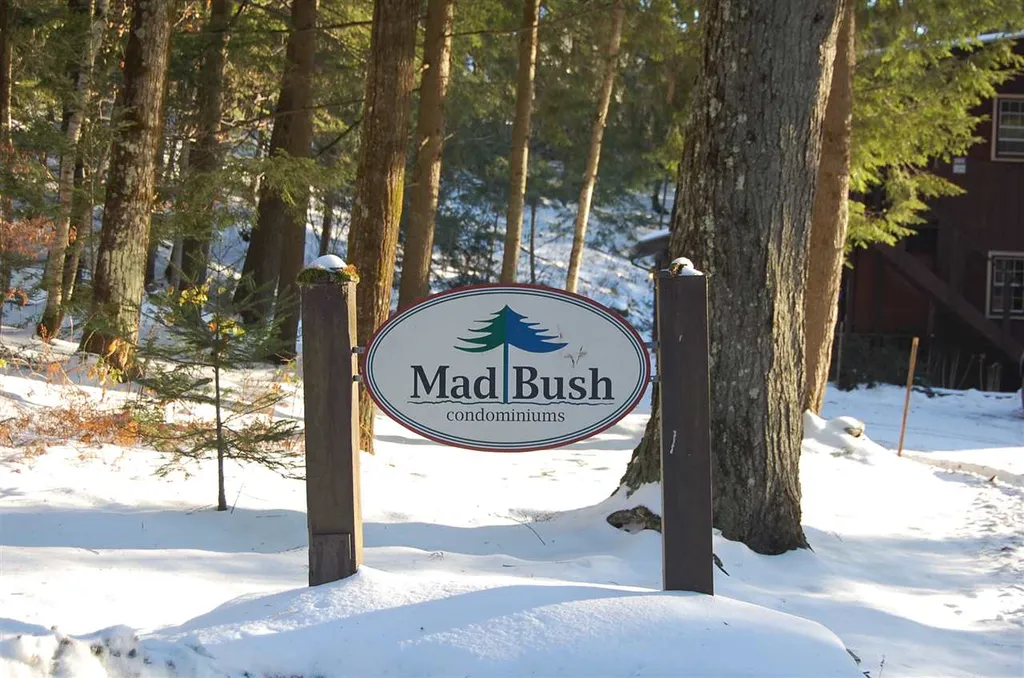 203 Madbush Waitsfield VT 05673